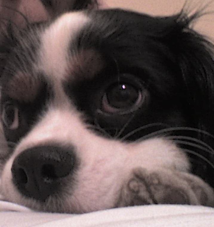 Ricky 
