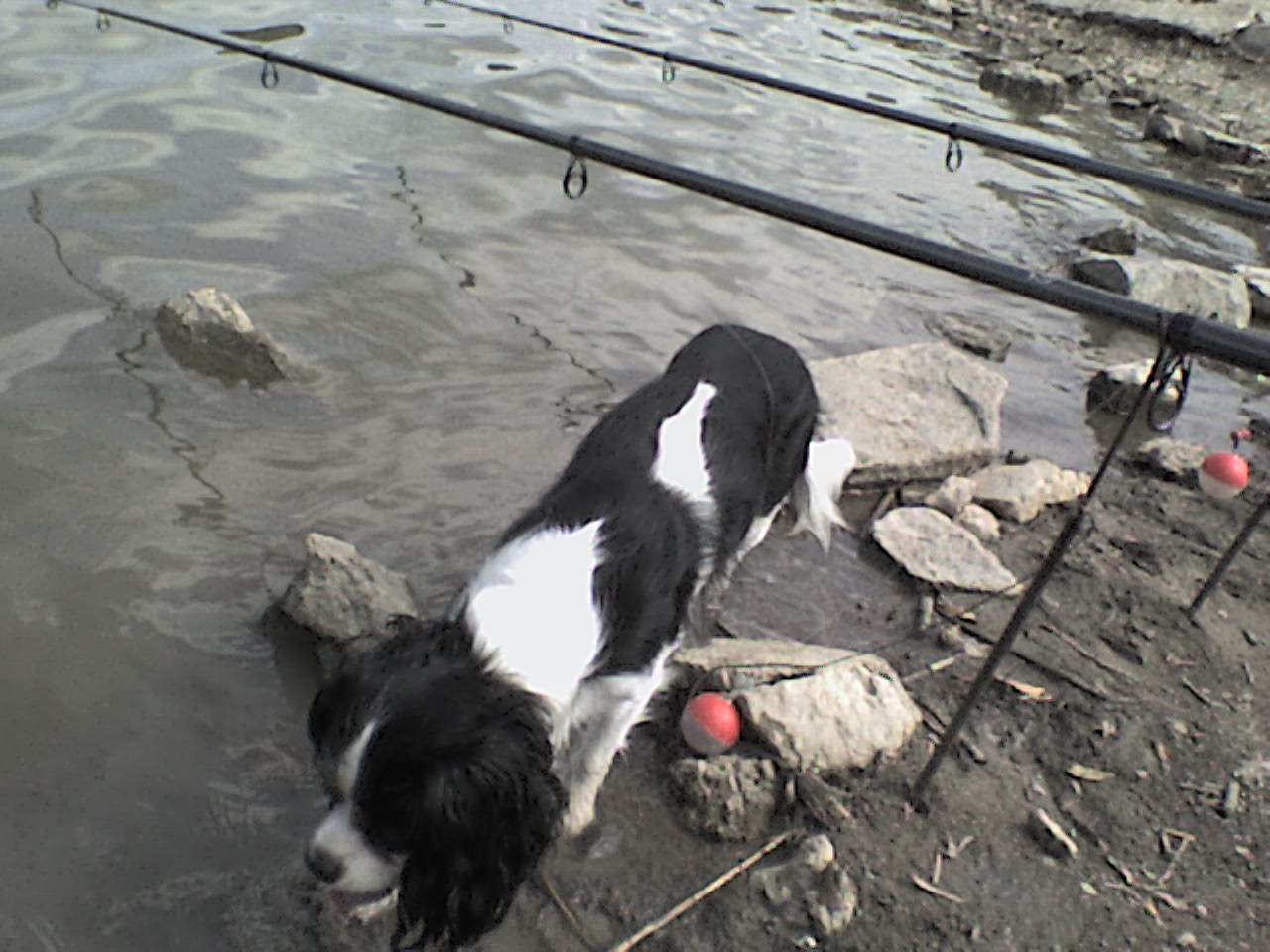 DSC00034.JPG