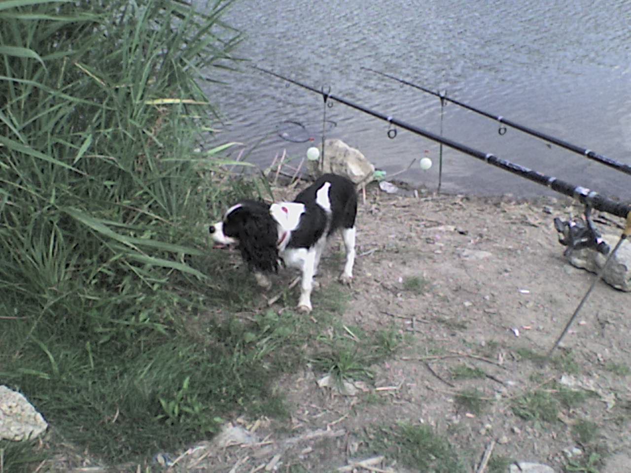 DSC00035.JPG