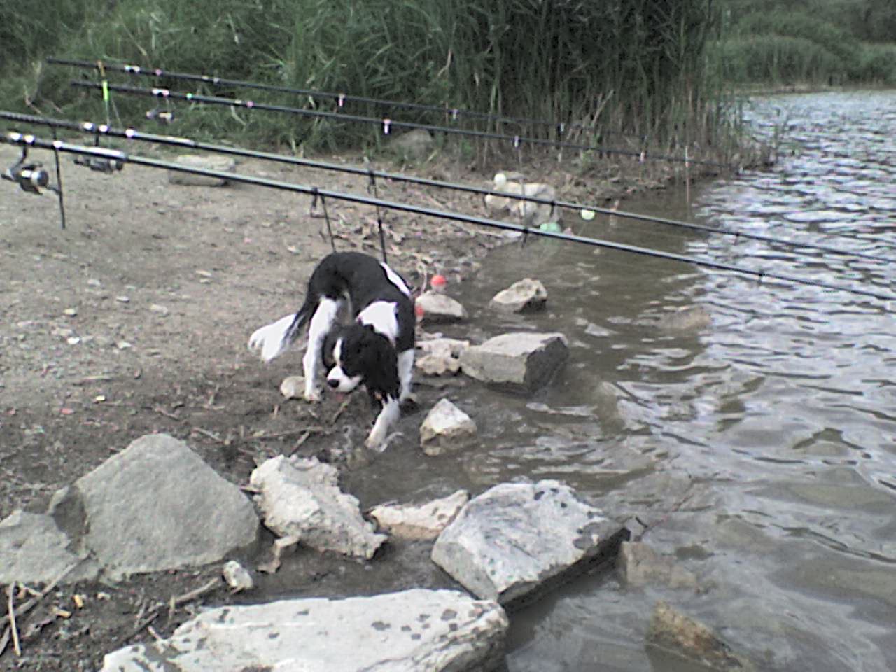 DSC00036.JPG