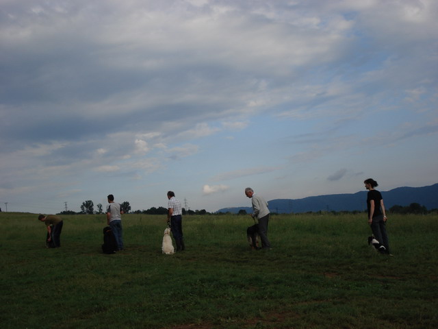 DSC00002.jpg