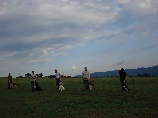 DSC00003.jpg