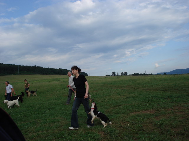 DSC00004.jpg
