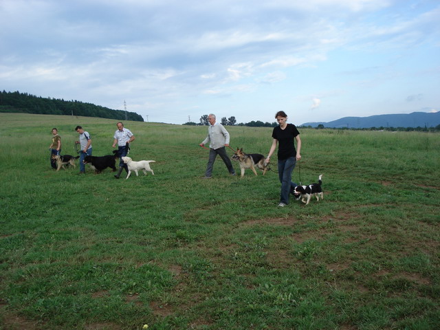 DSC00005.jpg